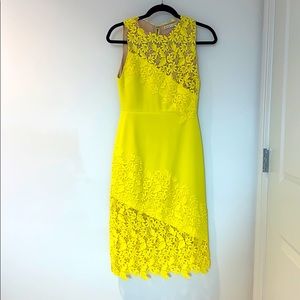 Alice & Olivia dress